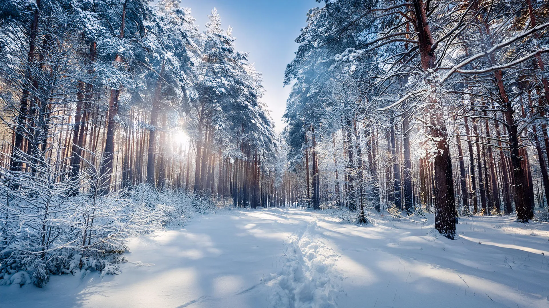 Raide liikide mõisted ja seletused